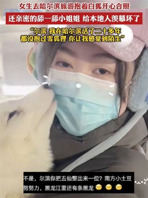 女生去哈尔滨旅游抱着白狐开心合照……|白狐|哈尔滨市|黑龙江省_新浪新闻
