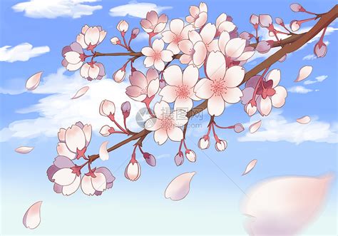 有关樱花的日本动漫的壁纸 动漫