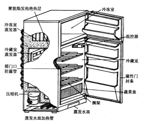 冰箱空间结构介绍：容声_容声 BCD-378WPMB-XA22_家电冰箱-中关村在线