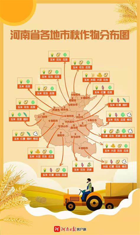 海报丨涨知识，河南省各地市秋作物分布图来了 - 河南一百度