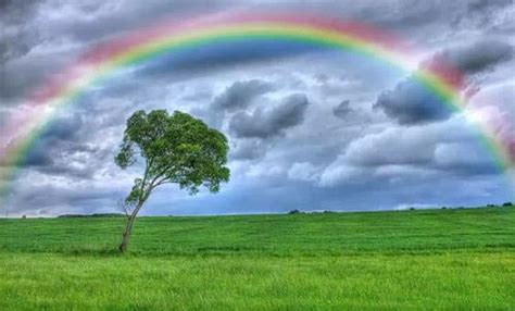 风雨彩虹的励志句子（经历风雨才见彩虹的励志名言）-老汤博客