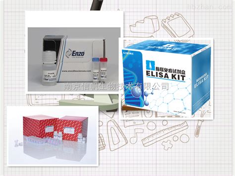 小鼠肝细胞生长因子elisa试剂盒-南京信帆生物技术有限公司