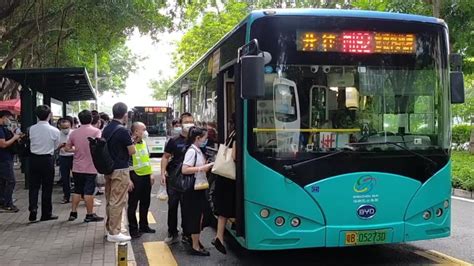 方便！深莞往返公交线路已开通13条，年内还将增开多条！_深圳新闻网