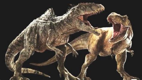 八千万年前的阿尔伯托龙，最原始的霸王龙科，竟被一头食草恐龙耍的团团转。
