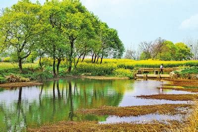 每日豫景｜信阳罗山：红色旅游线路，串起美丽风景-大河网