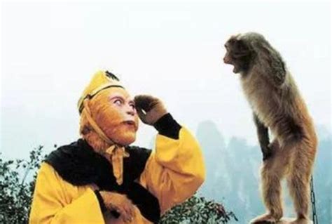 《西游记》老照片：孙悟空猴子互相“敬礼”，图5是六小龄童老婆|孙悟空|西游记|六小龄童_新浪新闻