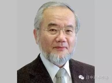 进入21世纪后的日本诺贝尔奖获得者数高居世界第二位，日本诺奖得主知多少｜WeXpats Guide
