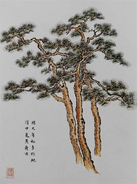 描写黄山松树的优美句子有哪些_黄山奇松的赞美语句-蘑菇号