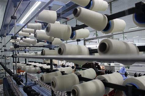 清河：不断推动羊绒产业转型升级