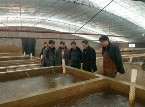 新疆生活污水处理设备逐渐步入规范化时代-新疆美之星环保科技有限公司
