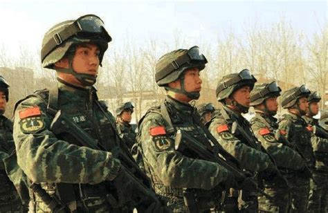 武警北京总队执勤第二支队——举行2021年度秋季新兵授衔仪式(组图)-特种装备网