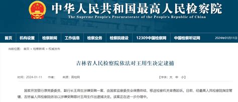 吉林省人民检察院依法对王用生决定逮捕--中国能源新闻网
