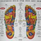 足部穴位图图片