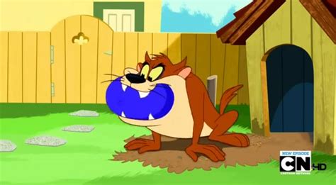 Image - Taz ball.png | The Looney Tunes Show Wiki | FANDOM powered by Wikia