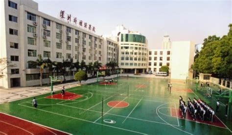 深圳最好的40所民办学校都在这
