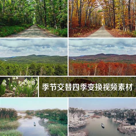 季节交替四季变换视频素材春夏秋冬天气气候变化植物丛林延时摄影