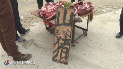 潮州一摊贩当街售卖野生山猪肉被打击查处_手机新浪网
