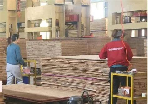系列报道① | 桑墟镇：示范引领推动木材产业转型升级-中国木业网