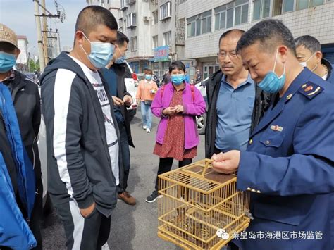 西安一鸟市公开叫卖野生鸟 其中不少是二级保护动物