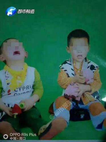 河南4岁双胞胎被推至水坑溺死 犯罪嫌疑人系其伯母