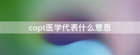 pit是什么意思 pit的翻译、中文解释 – 下午有课