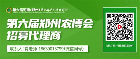 舞阳县辛安镇：优化营商环境 拼出发展实力-大河新闻