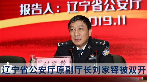 河南省副省长、公安厅厅长舒庆，已任上海市领导|郑州|市委书记|河南省_新浪新闻