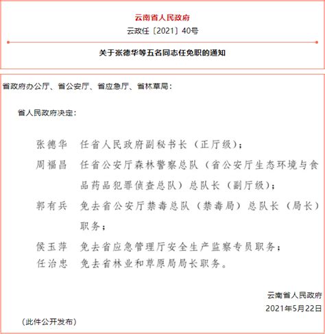岳阳市教育体育局干部任前公示公告-岳阳市教育体育局