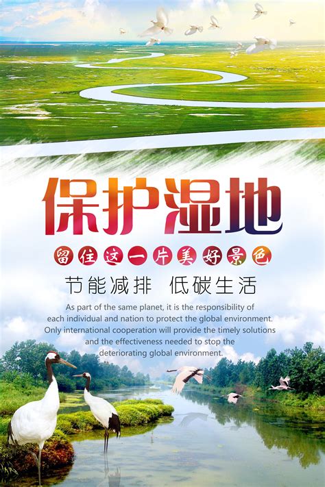 保护湿地宣传海报|平面|宣传物料|zhennie妮妮 - 原创作品 - 站酷 (ZCOOL)