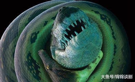 美国水下摄影师Bartolomeo Bove在巴西河流潜水时拍摄到7公尺长超级巨蟒——森蚺 - 神秘的地球 科学|自然|地理|探索