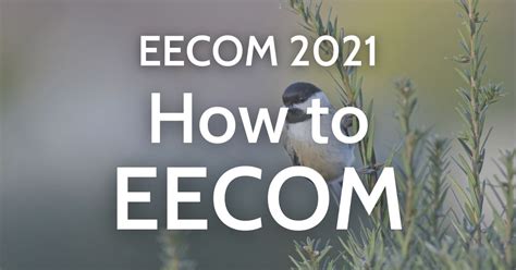 How to EECOM - EECOM 2021