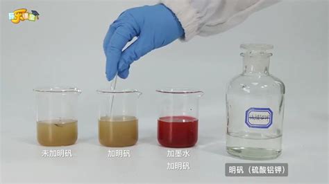 自制简易净水器【初中化学实验视频】【乐乐课堂】