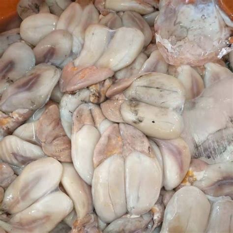 贝类海鲜贝壳,贝壳类海鲜,海鲜种类贝类_大山谷图库