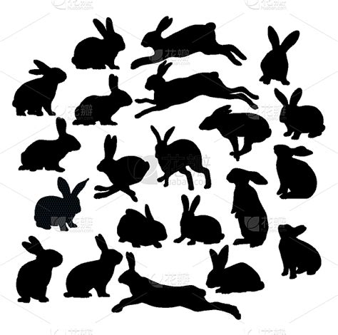 兔子,艺术,酷,高雅,自然,野生动物,牲畜,宠物,图像,跳