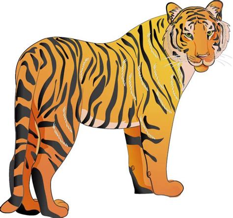 老虎全家福——不同颜色的虎--中国数字科技馆