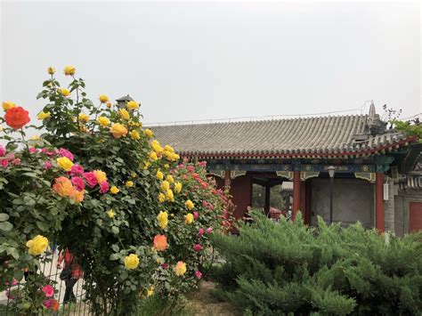 圆明园九州景区如意桥,历史古迹景区,旅游景点,摄影素材,汇图网www.huitu.com