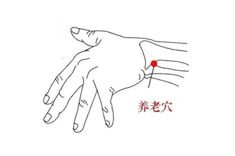 养老的准确位置图图片 养老的准确位置图图片