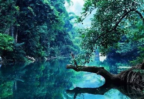 中国十大著名森林公园 - 知乎