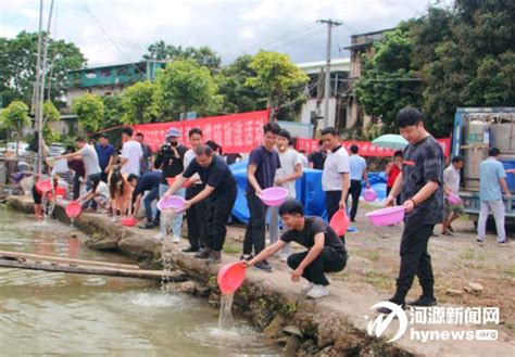 河源国家高新区：主导产业势头强劲，经济发展活力满满-河源国家高新区