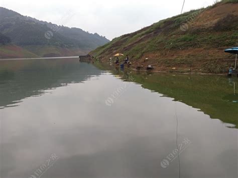 万峰湖游钓俱乐部_万峰湖游钓俱乐部地址_万峰湖游钓俱乐部电话 - 钓鱼之家