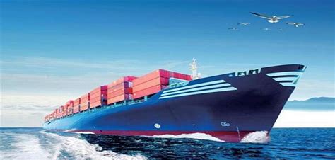 货运代理|国际货运代理|国际海运|国际空运案例-深圳货代找大洲兴业