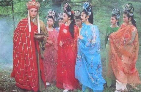 蜘蛛精图片