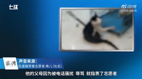 网曝小红书用户发布虐猫视频：放进洗衣机里搅拌 挂在衣叉上甩_手机新浪网