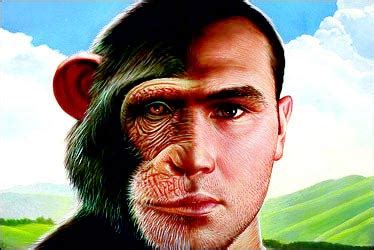 古人类与黑猩猩杂交?人类形成之谜将揭开(组图)_新闻中心_新浪网
