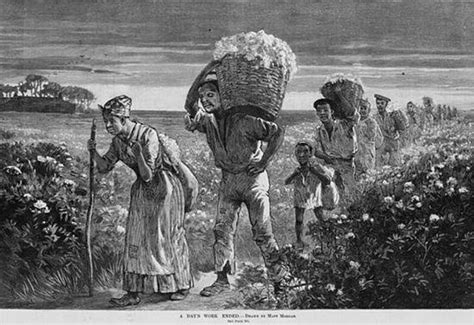 黑奴被奴隶主当做繁殖工具：女奴十三岁开始生育