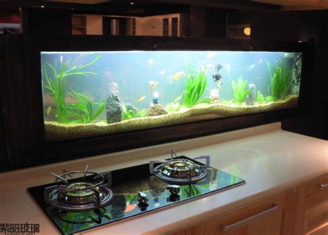 超白鱼缸与普通玻璃鱼缸有什么区别 鱼缸有用钢化的超白玻璃做 ...