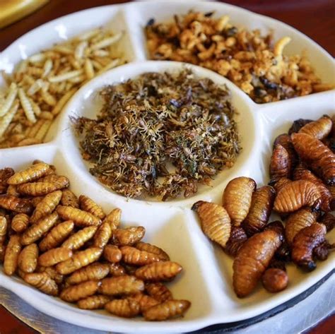 广西崇左最有名的六大特色美食，尤其第一种，是绝佳的解暑美味！_龙州_地方_那隆