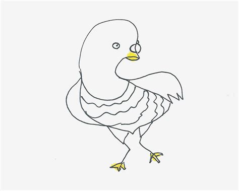 简单简笔画教程 卡通鸽子怎么画简单又好看💛巧艺网
