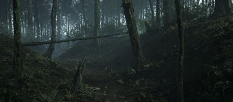 深夜阴暗雾密的黑森林高清图片下载-正版图片305849639-摄图网