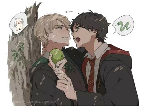 drarry(德哈/哈德)图片